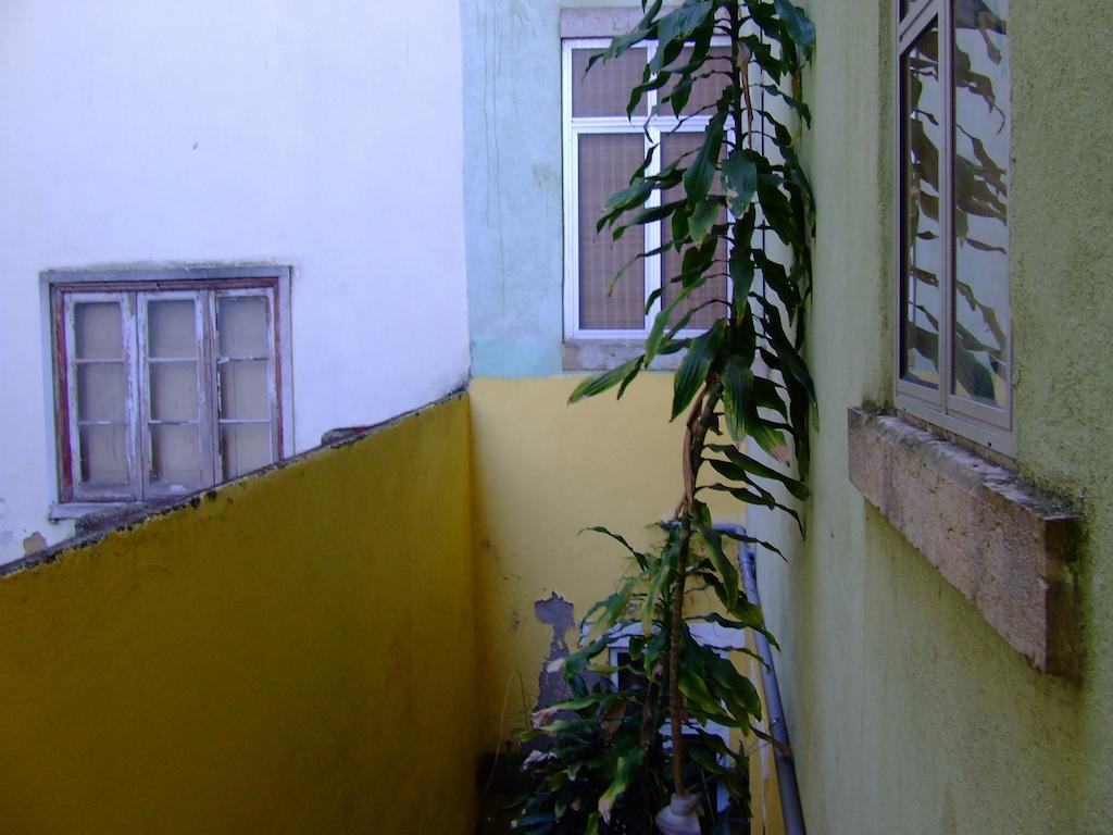 Apartment Larexport - Chile